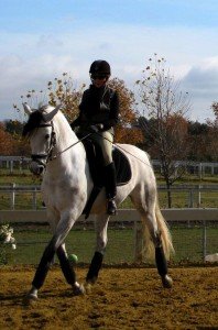 mae and Exarca fillies (3)